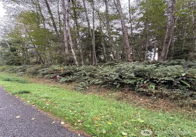 Photo 1 of Land for sale at 123 Smugglers Cvs Rd, Greenbank, WA 98253 | MLS# NWM2586087 | Listing updated on 2026-09-26