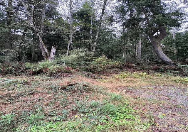 Photo 2 of Land for sale at 123 Smugglers Cvs Rd, Greenbank, WA 98253 | MLS# NWM2586087 | Listing updated on 2026-09-26