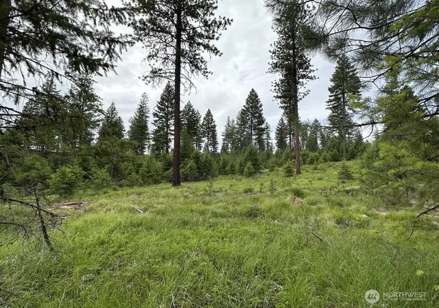 Photo 1 of Land for sale at 3600 Sheridan Rd #E, Republic, WA 99166 | MLS# NWM2586160 | Listing updated on 2026-09-22