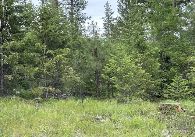 Photo 3 of Land for sale at 3600 Sheridan Rd #E, Republic, WA 99166 | MLS# NWM2586160 | Listing updated on 2026-09-22