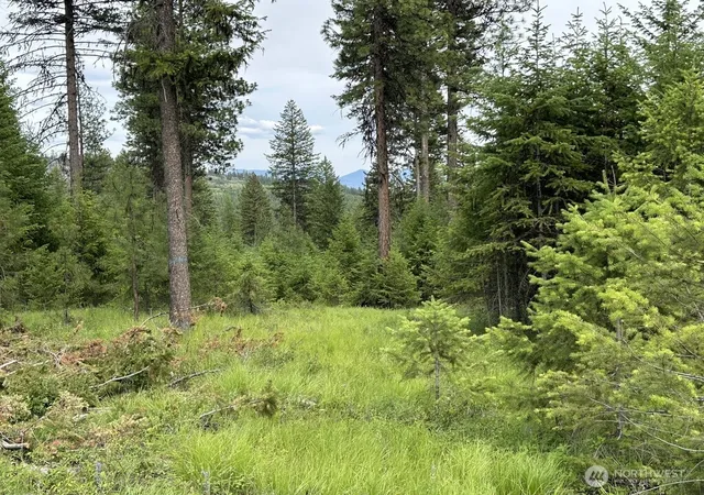 Photo 4 of Land for sale at 3600 Sheridan Rd #E, Republic, WA 99166 | MLS# NWM2586160 | Listing updated on 2026-09-22