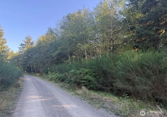 Photo 1 of Land for sale at 99922 Thomas St, Forks, WA 98331 | MLS# NWM2586257 | Listing updated on 2026-09-25