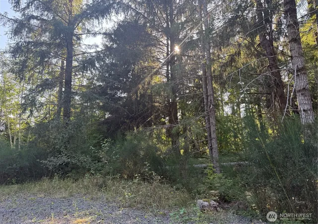 Photo 2 of Land for sale at 99922 Thomas St, Forks, WA 98331 | MLS# NWM2586257 | Listing updated on 2026-09-25