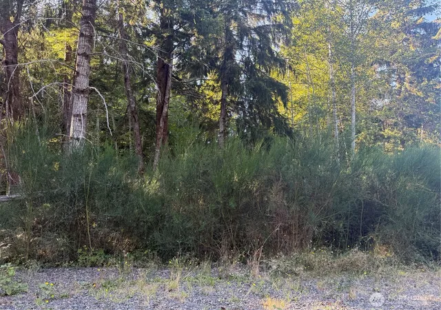 Photo 3 of Land for sale at 99922 Thomas St, Forks, WA 98331 | MLS# NWM2586257 | Listing updated on 2026-09-25
