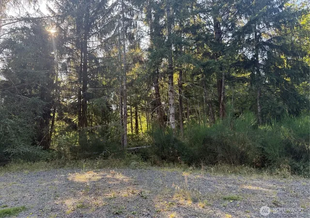 Photo 1 of Land for sale at 99918 Thomas Ct, Forks, WA 98331 | MLS# NWM2586261 | Listing updated on 2026-09-25