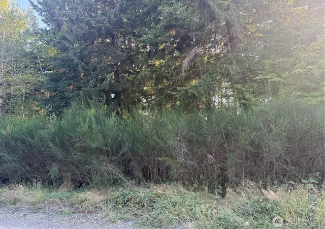 Photo 3 of Land for sale at 99918 Thomas Ct, Forks, WA 98331 | MLS# NWM2586261 | Listing updated on 2026-09-25