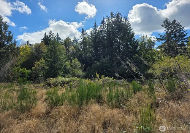 Photo 1 of Land for sale at 400 Marion St S, Tenino, WA 98589 | MLS# NWM2586275 | Listing updated on 2026-09-24
