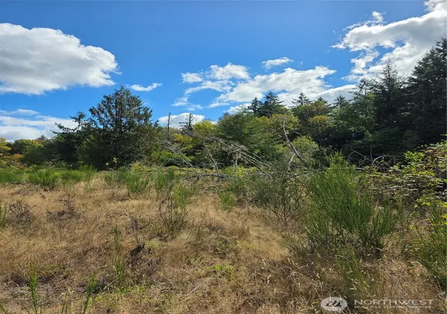 Photo 3 of Land for sale at 400 Marion St S, Tenino, WA 98589 | MLS# NWM2586275 | Listing updated on 2026-09-24