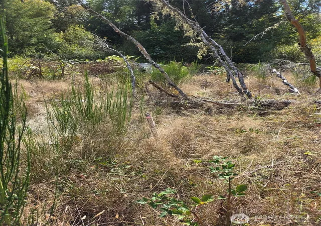Photo 3 of Land for sale at 400 Marion St S, Tenino, WA 98589 | MLS# NWM2586275 | Listing updated on 2026-09-24