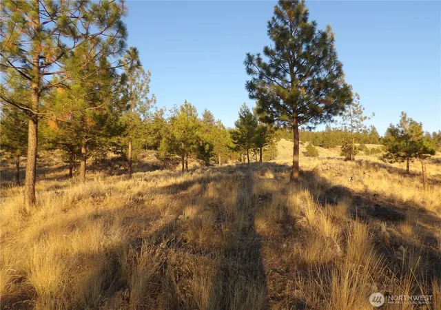 Photo 1 of Land for sale at 0 Tbd Bear Camp Rd, Tonasket, WA 98855 | MLS# NWM2586307 | Listing updated on 2026-09-23