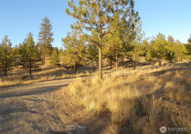 Photo 2 of Land for sale at 0 Tbd Bear Camp Rd, Tonasket, WA 98855 | MLS# NWM2586307 | Listing updated on 2026-09-23