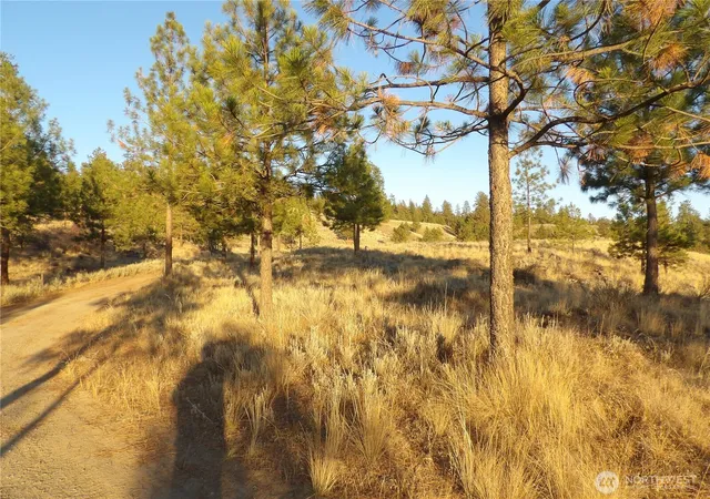 Photo 3 of Land for sale at 0 Tbd Bear Camp Rd, Tonasket, WA 98855 | MLS# NWM2586307 | Listing updated on 2026-09-23