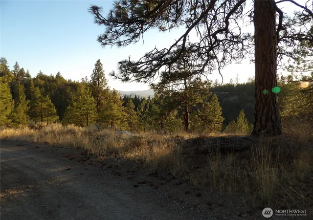 Photo 4 of Land for sale at 0 Tbd Bear Camp Rd, Tonasket, WA 98855 | MLS# NWM2586307 | Listing updated on 2026-09-23