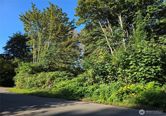 Photo 2 of Land for sale at 0 Huston St, Tenino, WA 98589 | MLS# NWM2586315 | Listing updated on 2026-09-24
