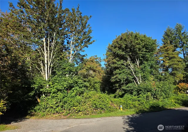Photo 3 of Land for sale at 0 Huston St, Tenino, WA 98589 | MLS# NWM2586315 | Listing updated on 2026-09-24