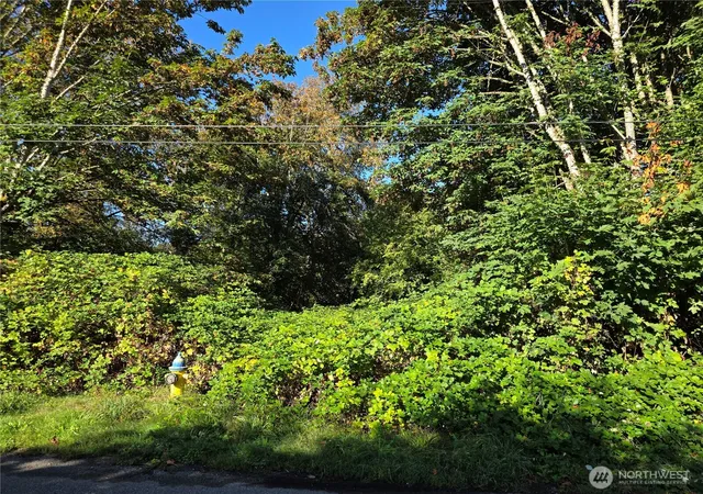 Photo 3 of Land for sale at 0 Huston St, Tenino, WA 98589 | MLS# NWM2586315 | Listing updated on 2026-09-24