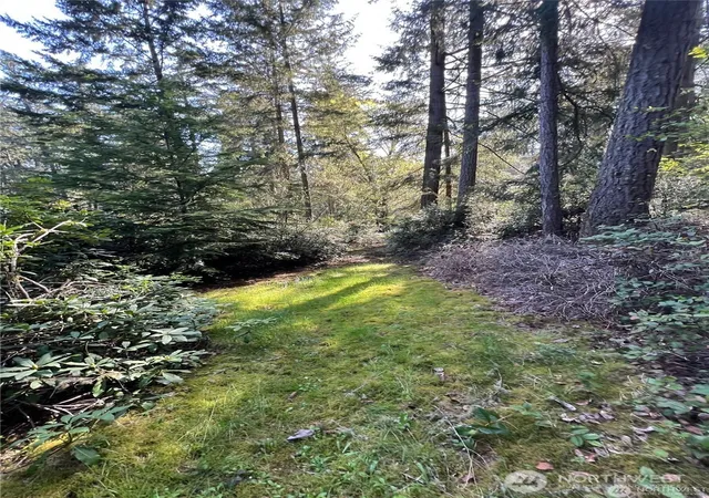 Photo 3 of Land for sale at 10702 Pioneer Dr, Anderson Island, WA 98303 | MLS# NWM2586346 | Listing updated on 2026-09-24