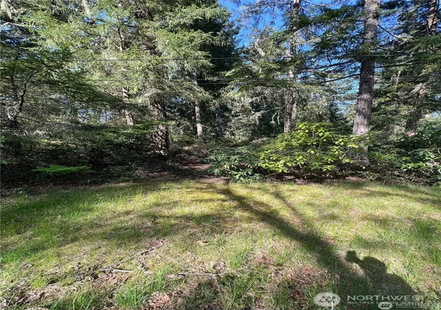 Photo 4 of Land for sale at 10702 Pioneer Dr, Anderson Island, WA 98303 | MLS# NWM2586346 | Listing updated on 2026-09-24