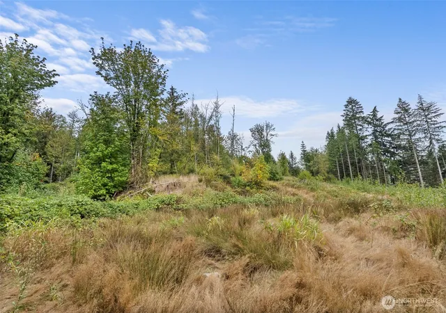 Photo 3 of Land for sale at 0 Coal Crk Rd, Chehalis, WA 98532 | MLS# NWM2586363 | Listing updated on 2026-09-29