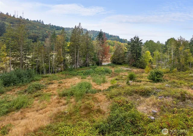 Photo 4 of Land for sale at 0 Coal Crk Rd, Chehalis, WA 98532 | MLS# NWM2586363 | Listing updated on 2026-09-29
