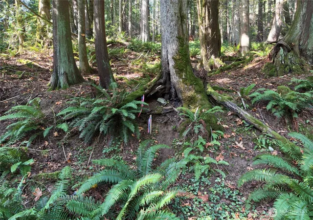 Photo 1 of Land for sale at 14 Harbor View Dr, Bellingham, WA 98229 | MLS# NWM2586423 | Listing updated on 2026-10-11