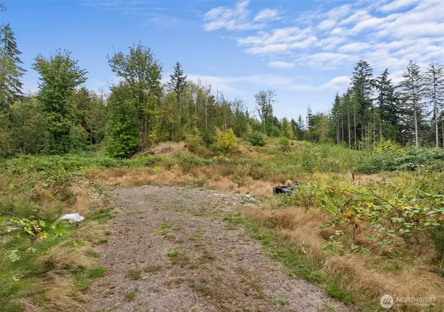 Photo 3 of Land for sale at 0 Coal Crk (lot 2) Rd, Chehalis, WA 98532 | MLS# NWM2586452 | Listing updated on 2026-09-29