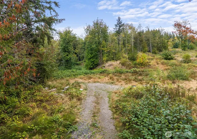 Photo 3 of Land for sale at 0 Coal Crk (lot 2) Rd, Chehalis, WA 98532 | MLS# NWM2586452 | Listing updated on 2026-09-29