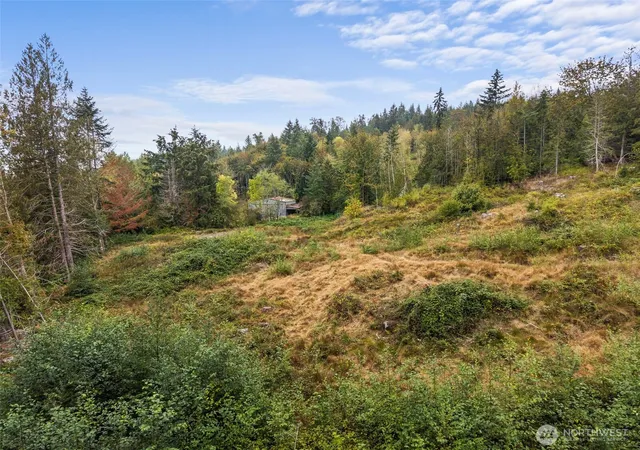 Photo 4 of Land for sale at 0 Coal Crk (lot 2) Rd, Chehalis, WA 98532 | MLS# NWM2586452 | Listing updated on 2026-09-29
