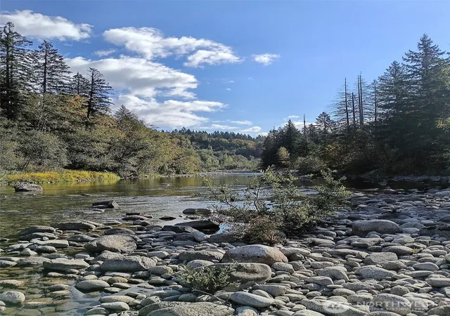 Photo 3 of Land for sale at 75900 NE 123rd Street, Skykomish, WA 98288 | MLS# NWM2586471 | Listing updated on 2026-10-16
