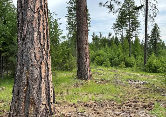 Photo 1 of Land for sale at 3600 Sheridan Rd #F, Republic, WA 99166 | MLS# NWM2586475 | Listing updated on 2026-09-23
