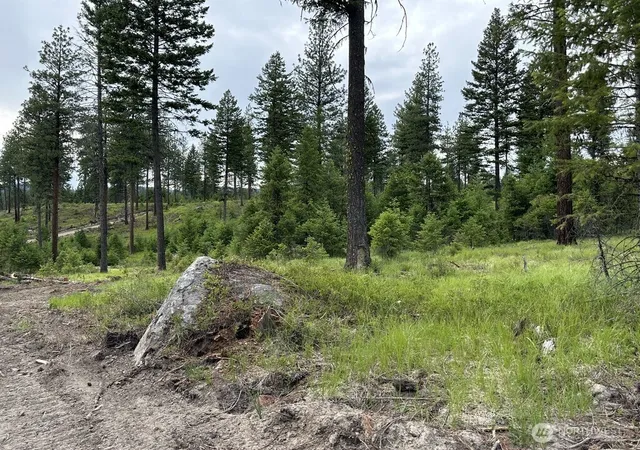 Photo 2 of Land for sale at 3600 Sheridan Rd #F, Republic, WA 99166 | MLS# NWM2586475 | Listing updated on 2026-09-23