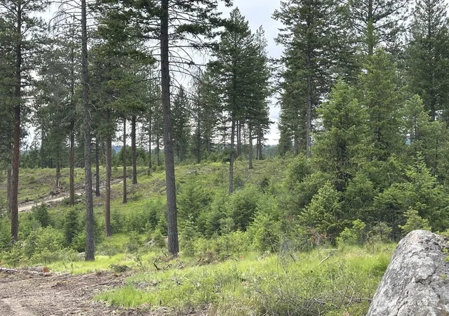 Photo 3 of Land for sale at 3600 Sheridan Rd #F, Republic, WA 99166 | MLS# NWM2586475 | Listing updated on 2026-09-23