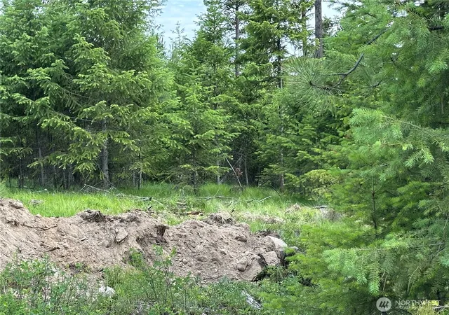 Photo 3 of Land for sale at 3600 Sheridan Rd #F, Republic, WA 99166 | MLS# NWM2586475 | Listing updated on 2026-09-23