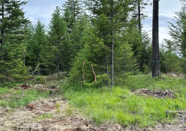 Photo 4 of Land for sale at 3600 Sheridan Rd #F, Republic, WA 99166 | MLS# NWM2586475 | Listing updated on 2026-09-23