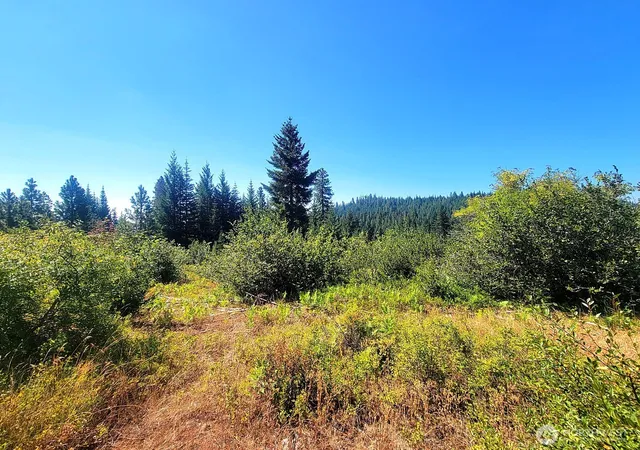 Photo 2 of Land for sale at 0 Xxx Simcoe Mountain Reserve, Goldendale, WA 98620 | MLS# NWM2586505 | Listing updated on 2026-09-29