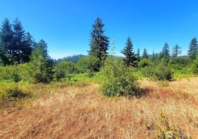 Photo 3 of Land for sale at 0 Xxx Simcoe Mountain Reserve, Goldendale, WA 98620 | MLS# NWM2586505 | Listing updated on 2026-09-29
