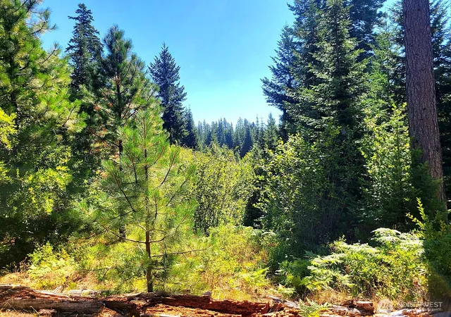 Photo 4 of Land for sale at 0 Xxx Simcoe Mountain Reserve, Goldendale, WA 98620 | MLS# NWM2586505 | Listing updated on 2026-09-29