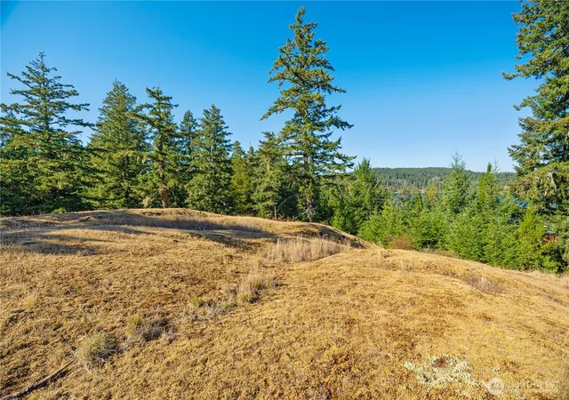 Photo 3 of Land for sale at 0 Woodpecker Ln, Friday Harbor, WA 98250 | MLS# NWM2586703 | Listing updated on 2026-09-28