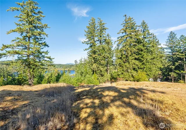 Photo 3 of Land for sale at 0 Woodpecker Ln, Friday Harbor, WA 98250 | MLS# NWM2586703 | Listing updated on 2026-09-28