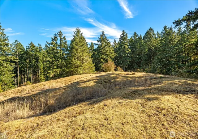 Photo 4 of Land for sale at 0 Woodpecker Ln, Friday Harbor, WA 98250 | MLS# NWM2586703 | Listing updated on 2026-09-28