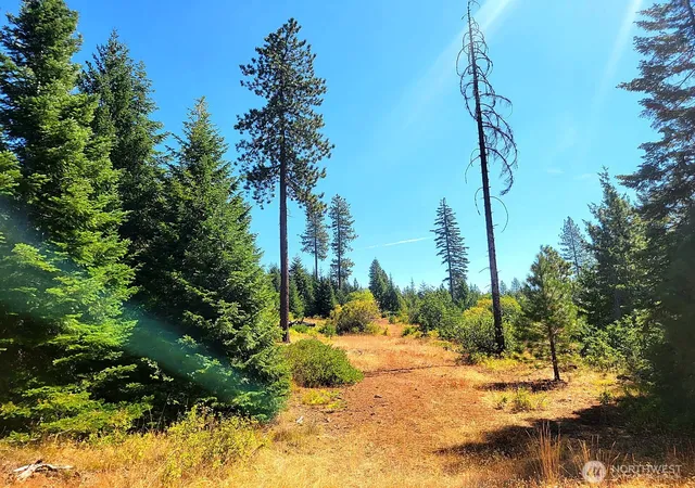 Photo 1 of Land for sale at 0 Lot 2 Simcoe Mountain Reserve, Goldendale, WA 98620 | MLS# NWM2586771 | Listing updated on 2026-09-29