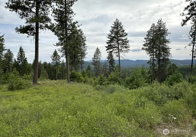 Photo 1 of Land for sale at 3600 Sheridan Rd #P, Republic, WA 99166 | MLS# NWM2586774 | Listing updated on 2026-09-23