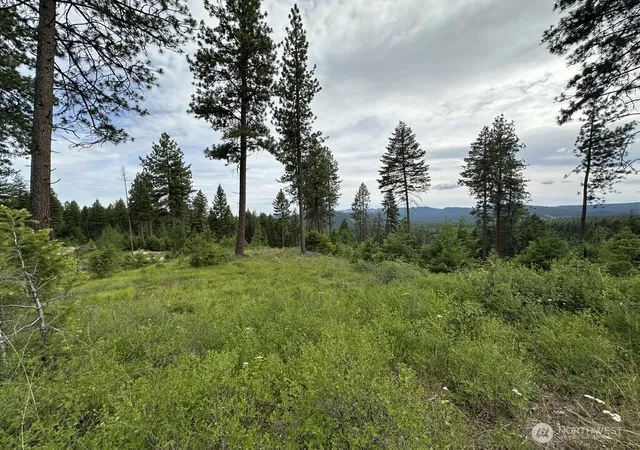 Photo 2 of Land for sale at 3600 Sheridan Rd #P, Republic, WA 99166 | MLS# NWM2586774 | Listing updated on 2026-09-23