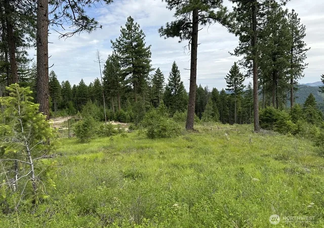 Photo 3 of Land for sale at 3600 Sheridan Rd #P, Republic, WA 99166 | MLS# NWM2586774 | Listing updated on 2026-09-23
