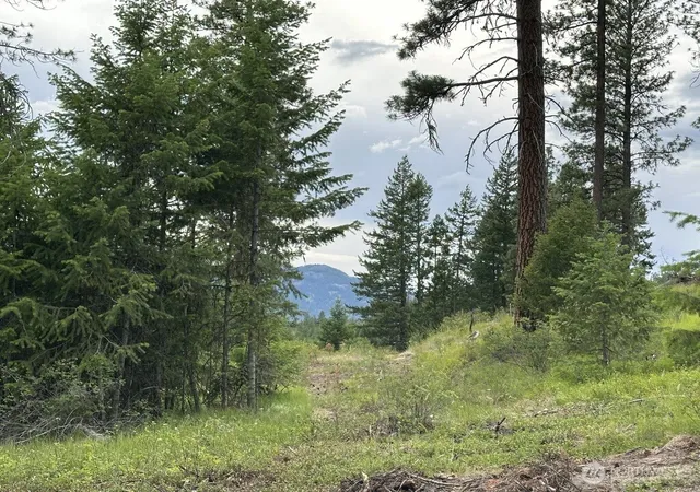 Photo 3 of Land for sale at 3600 Sheridan Rd #P, Republic, WA 99166 | MLS# NWM2586774 | Listing updated on 2026-09-23