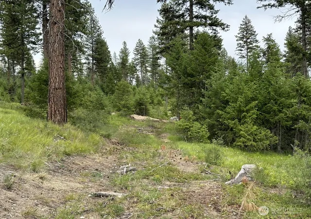 Photo 4 of Land for sale at 3600 Sheridan Rd #P, Republic, WA 99166 | MLS# NWM2586774 | Listing updated on 2026-09-23