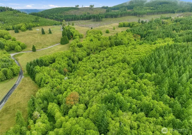 Photo 4 of Land for sale at 330 Kjesbu Rd, Silver Creek, WA 98585 | MLS# NWM2586793 | Listing updated on 2026-09-24