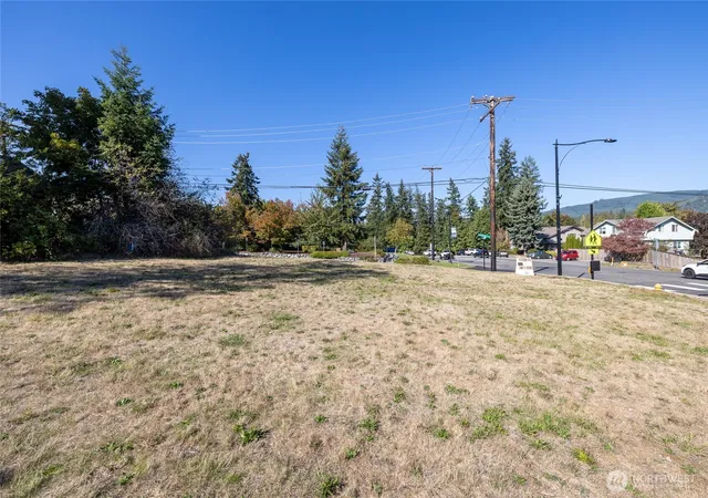 Photo 3 of Land for sale at 222 Washington Ave N, Eatonville, WA 98328 | MLS# NWM2586866 | Listing updated on 2026-09-24