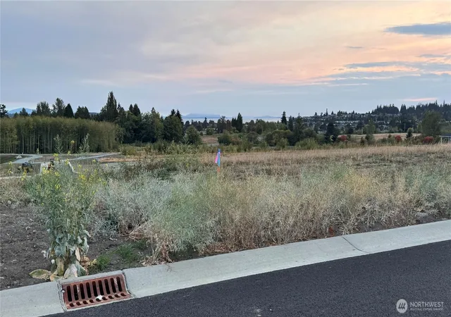 Land for sale at 0 Oxalis Dr #Lot 51, Blaine, WA 98230 | MLS# NWM2586892