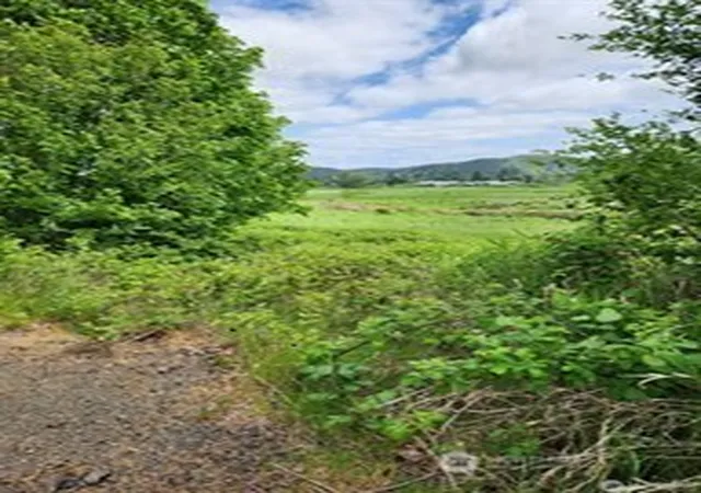 Land for sale at 443 State Hwy 6, Raymond, WA 98577 | MLS# NWM2586904
